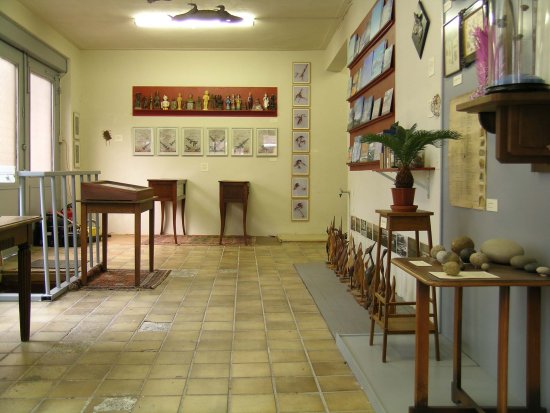 natuurlijk museum