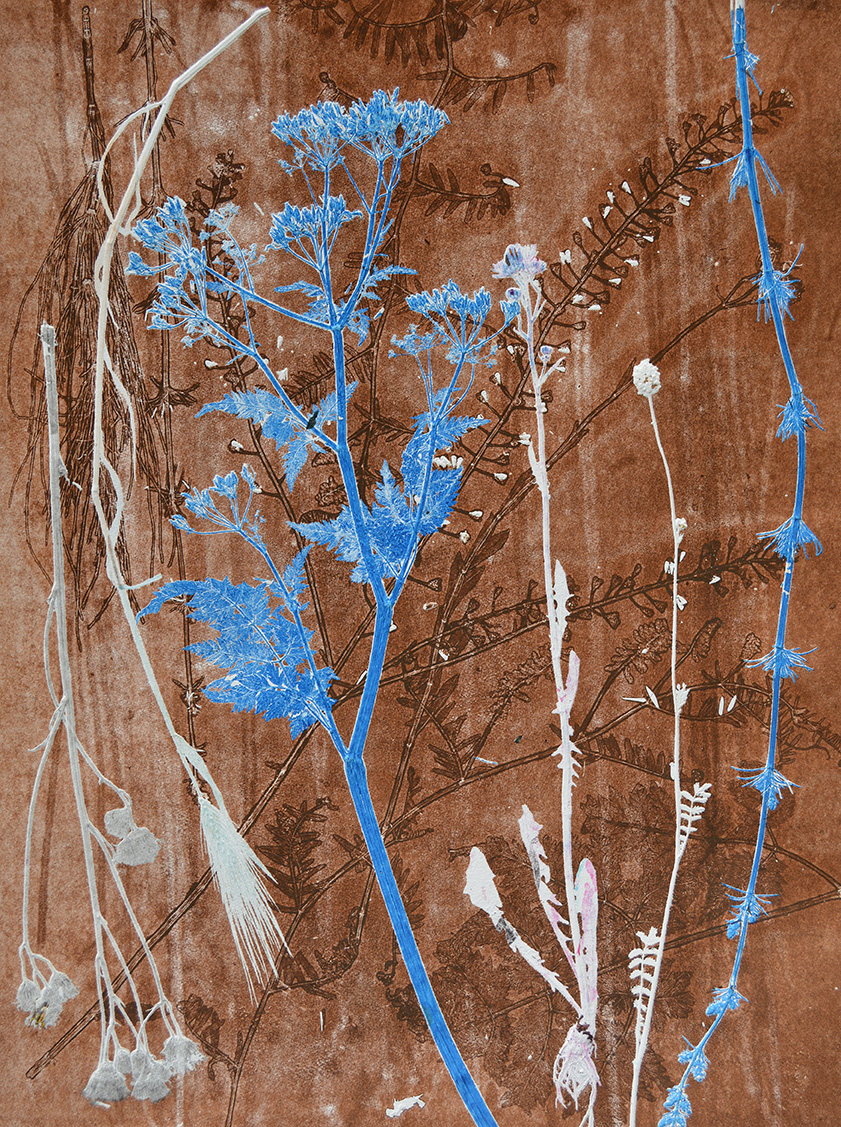 marc volger prints
